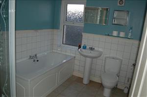 16157_15919R_IMG_05_0000