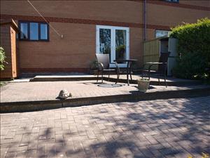 Garden 1