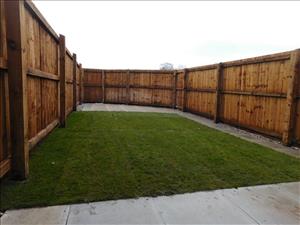New rear garden