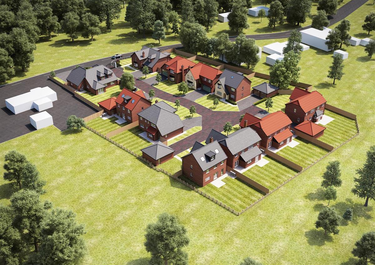 Pringle Birds Eye View