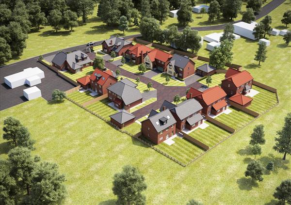 Pringle Birds Eye View