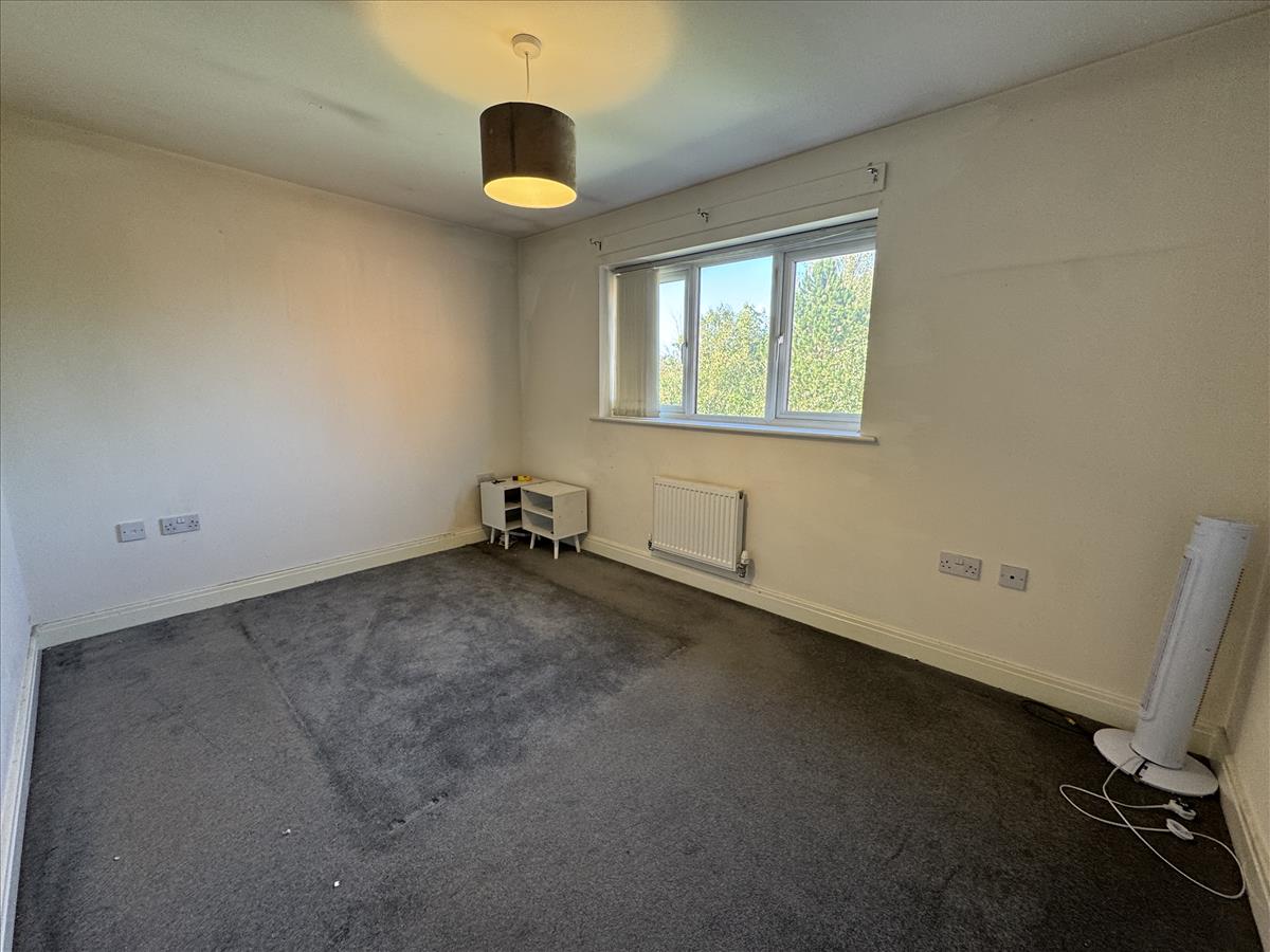 Image00008