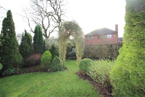 Garden,