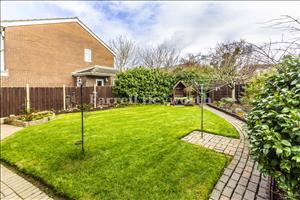 Garden image 3