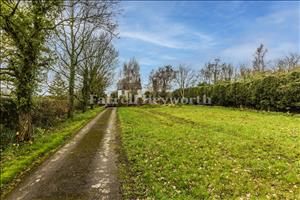 Approach To Property