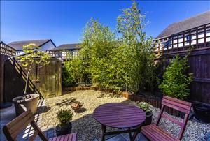 Garden image 3