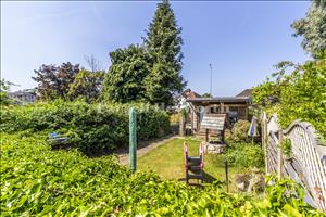 Garden view 2