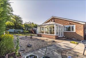 Garden 4