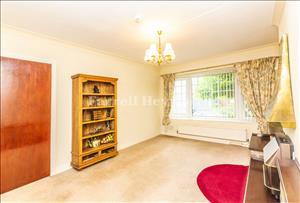 Lounge image 2