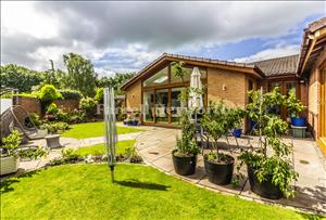 Garden image 4