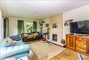 Lounge image 2