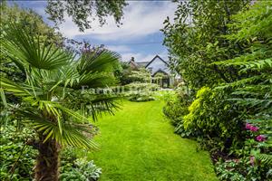 Rear Garden image 3