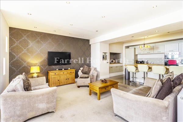 Lounge kitchen view 2