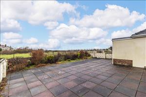 Garden view 2
