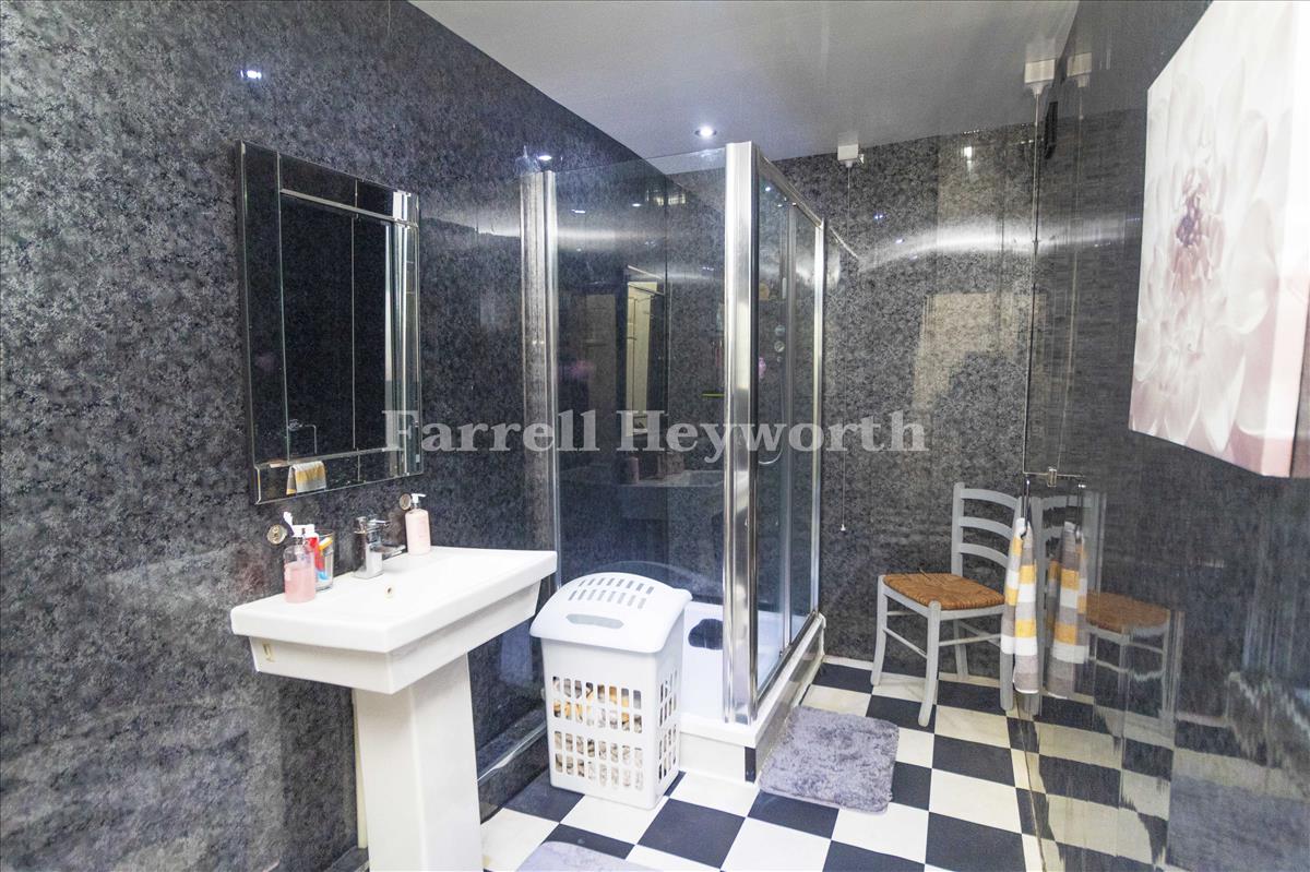 Basement Shower Room