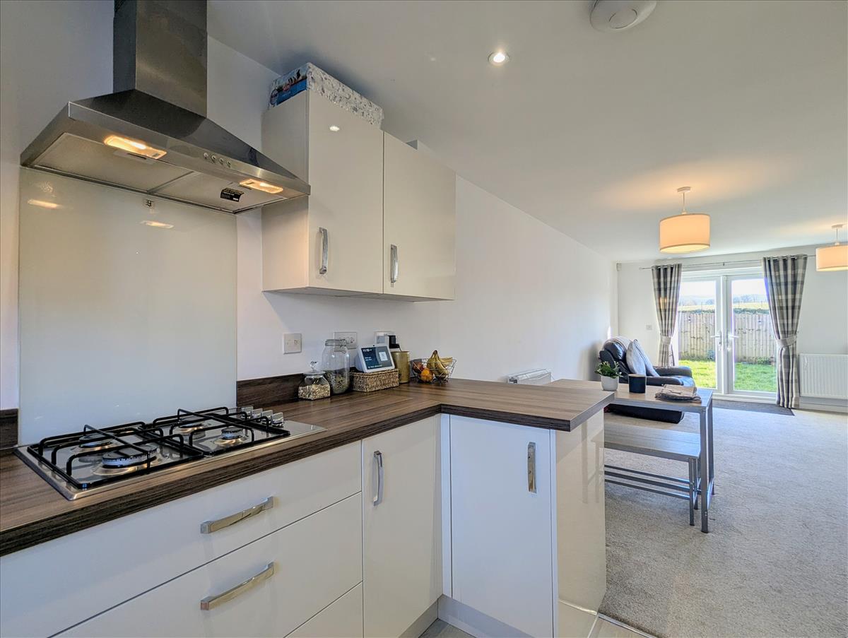 Kitchen New 2
