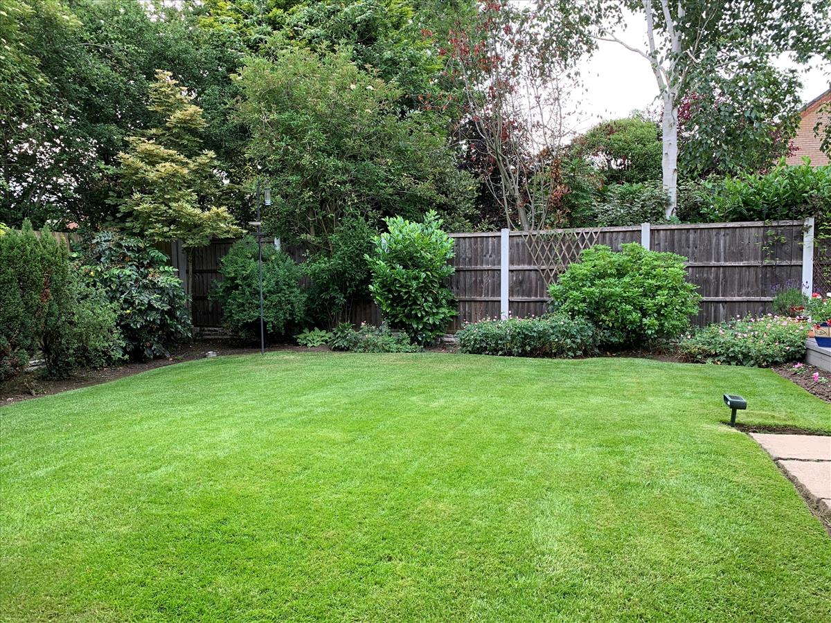 Rear garden image 7
