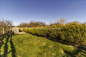 Garden view 2