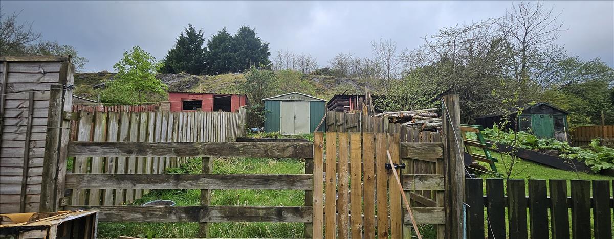 Divorced Garden