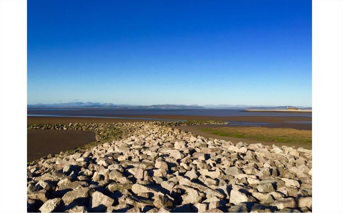 Sandylands Outlook