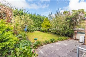Rear Garden image 2