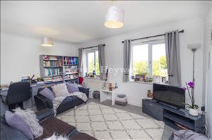 Lounge view 2