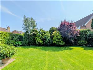 Rear Garden New