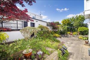 Rear Garden view 2