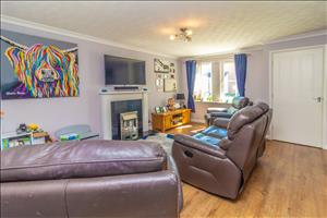 Lounge image 2