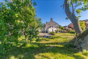 Garden image 3