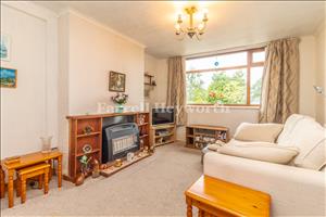 Lounge image 3