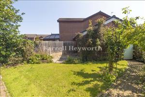 Rear garden 2