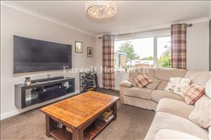 Lounge image 2
