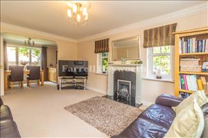 Lounge image 2