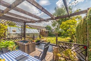 Garden image 2