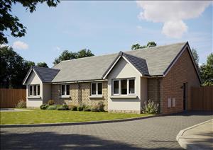 Oak external