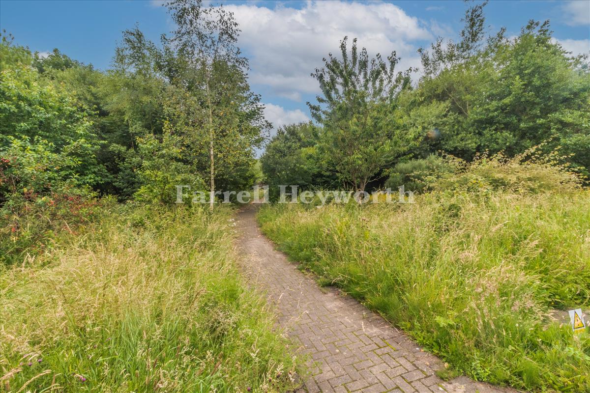 Approach to woodland area