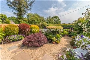 Rear Garden image 4