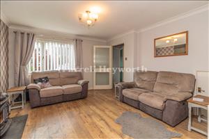 Lounge New