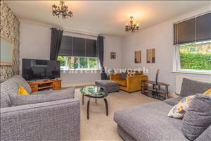 Lounge image 3