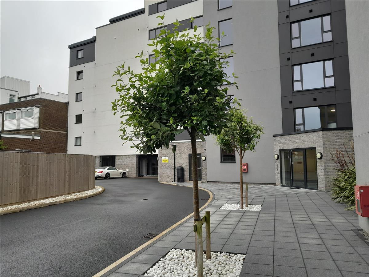 Rear Entrance