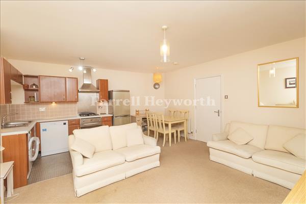 New Open Plan Living 3