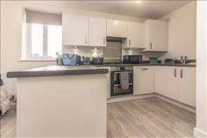 Open Plan b