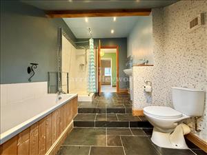 Bathroom view 1
