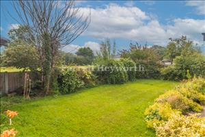 Garden image 4