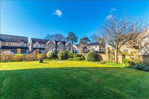 Communal Gardens image 2