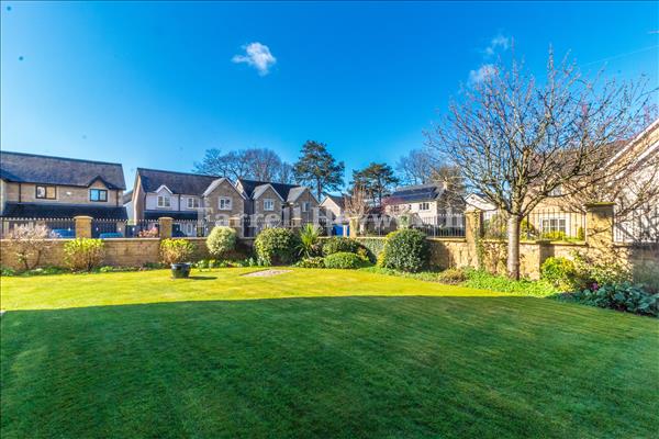 Communal Gardens image 2