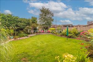 Garden image 6