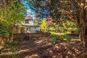 Garden image 3