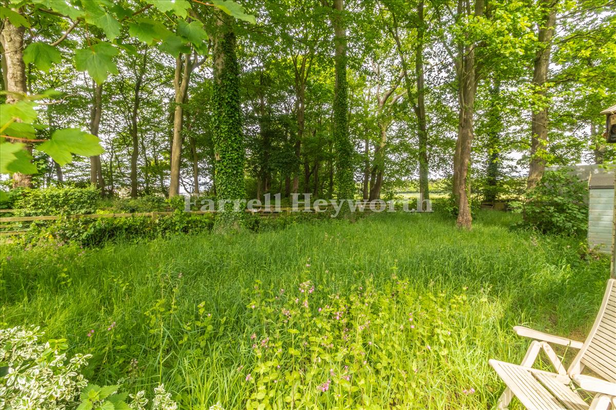 Garden image 3